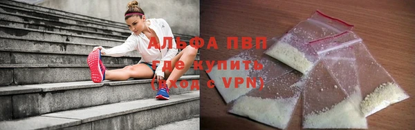 тгк Новозыбков