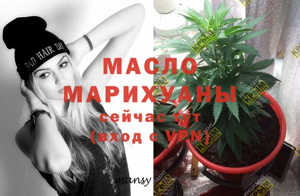 тгк Новозыбков