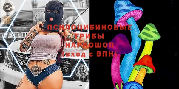 тгк Новозыбков