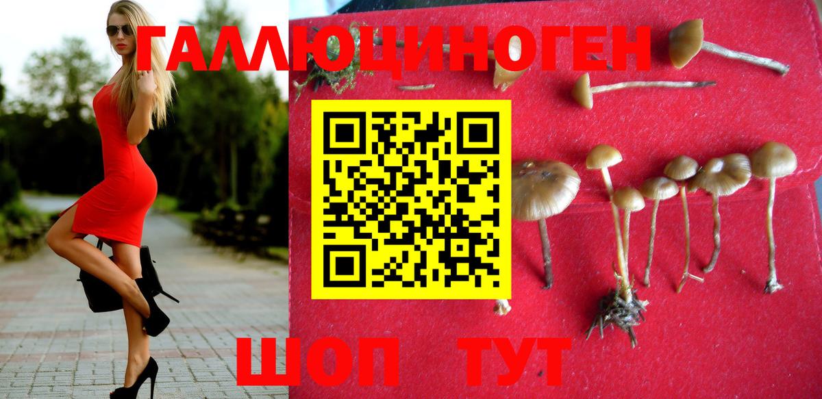 Галлюциногенные грибы мицелий Гуково