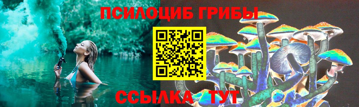 Галлюциногенные грибы MAGIC MUSHROOMS Гуково