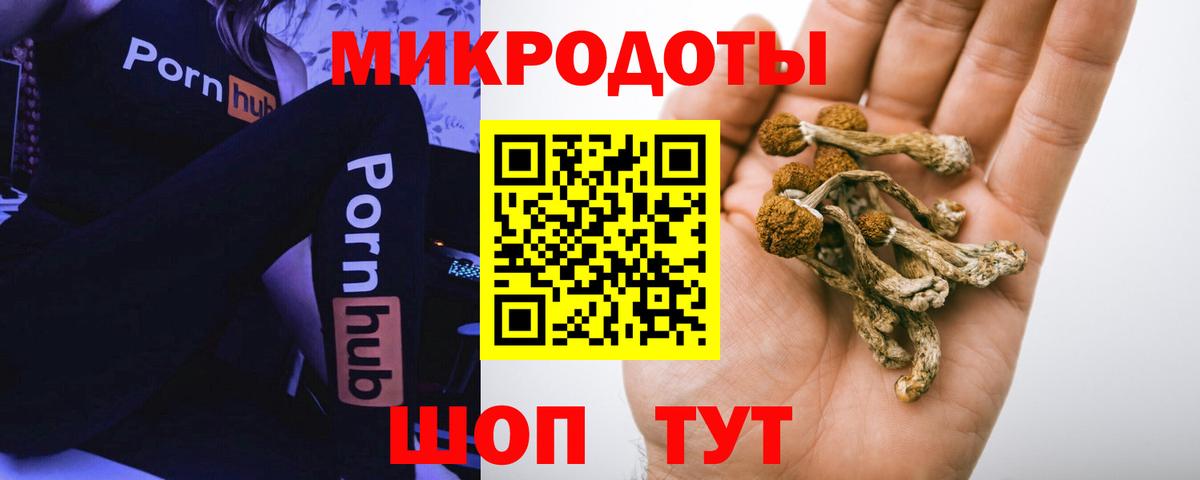 Гуково  Галлюциногенные грибы прущие грибы  Вход с VPN 